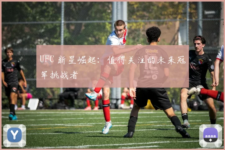 UFC 新星崛起:值得关注的未来冠军挑战者